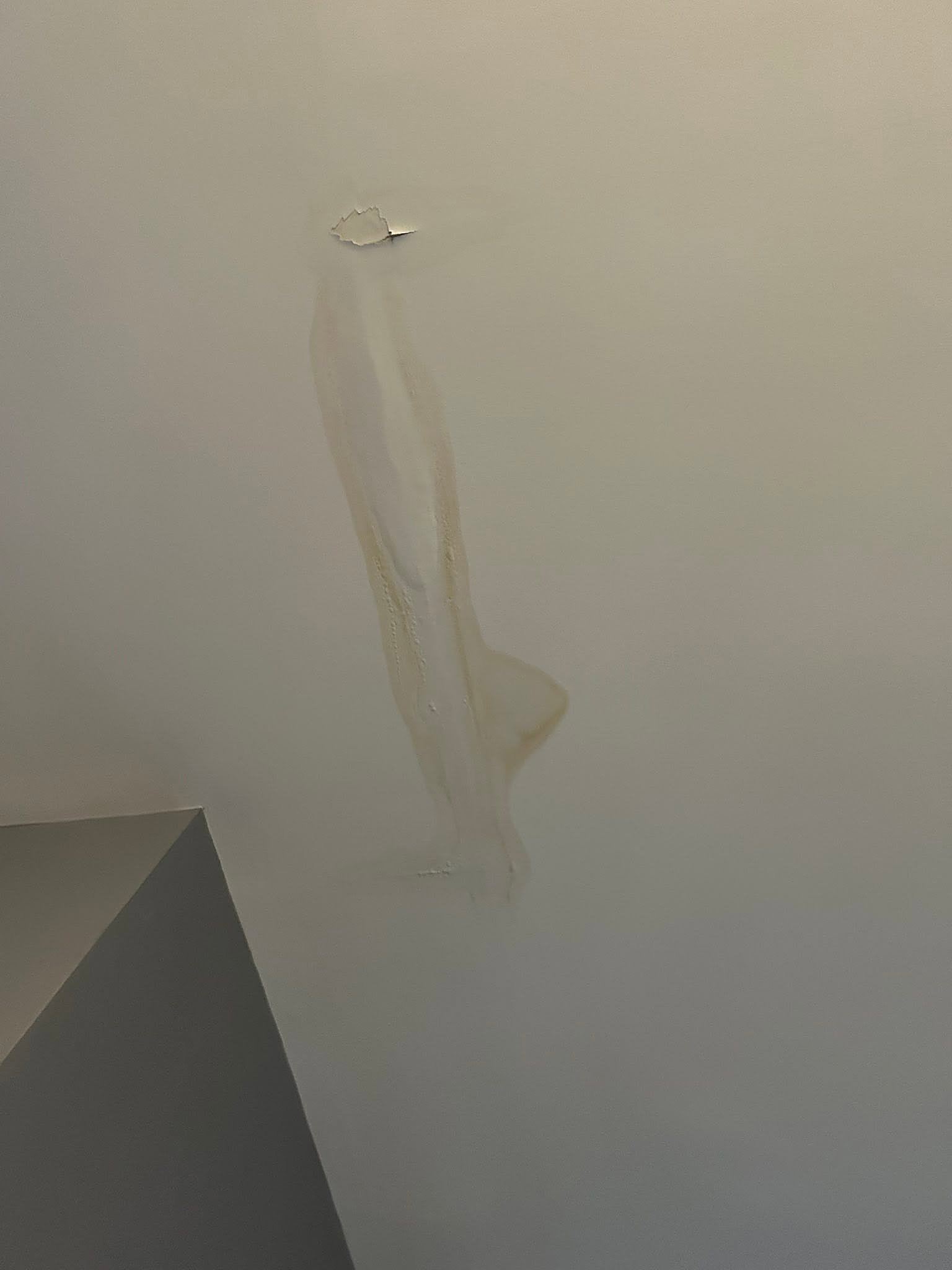 Long yellow-brown water stain streak with peeling paint on a white ceiling
